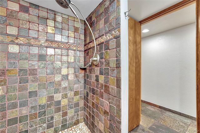473 S Larkspur Drive, Castle Rock, CO 80104