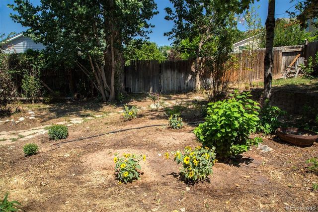 473 S Larkspur Drive, Castle Rock, CO 80104