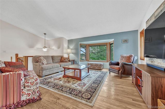 473 S Larkspur Drive, Castle Rock, CO 80104