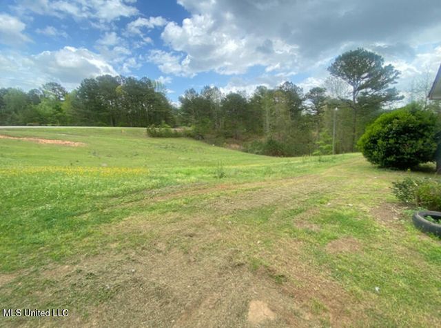 332 (333) Hudson Rd, Carthage, MS 39051