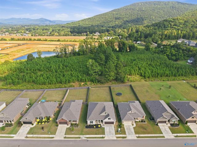 9018 Mountain Preserve Boulevard, Gurley, AL 35748