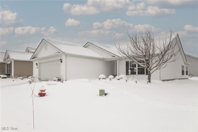 5398 Lake Forest Reserve Lane, Brunswick, OH 44212