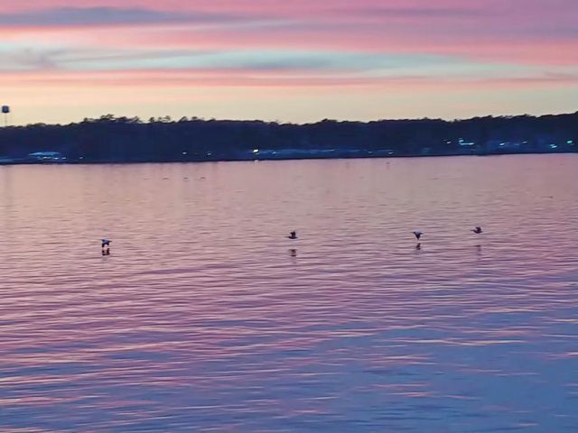 428 Dove Island, Livingston, TX 77351