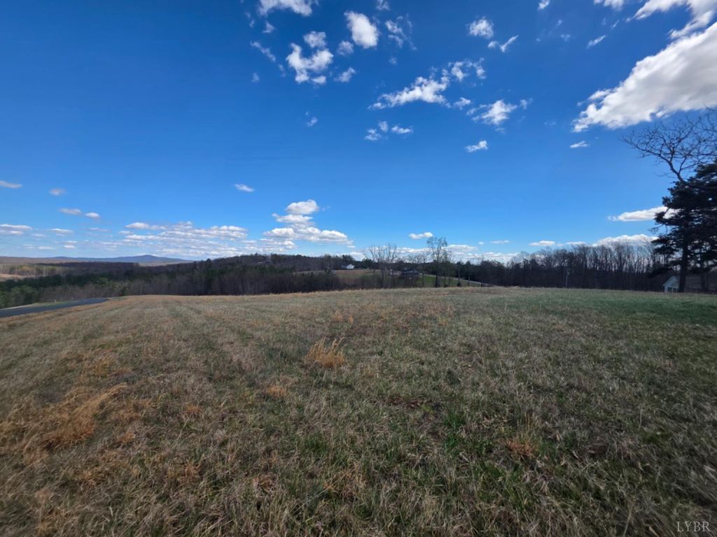 Image 11 of property listing at 0 Skyline Road, Appomattox, VA 24522