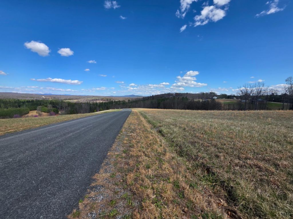 Image 17 of property listing at 0 Skyline Road, Appomattox, VA 24522