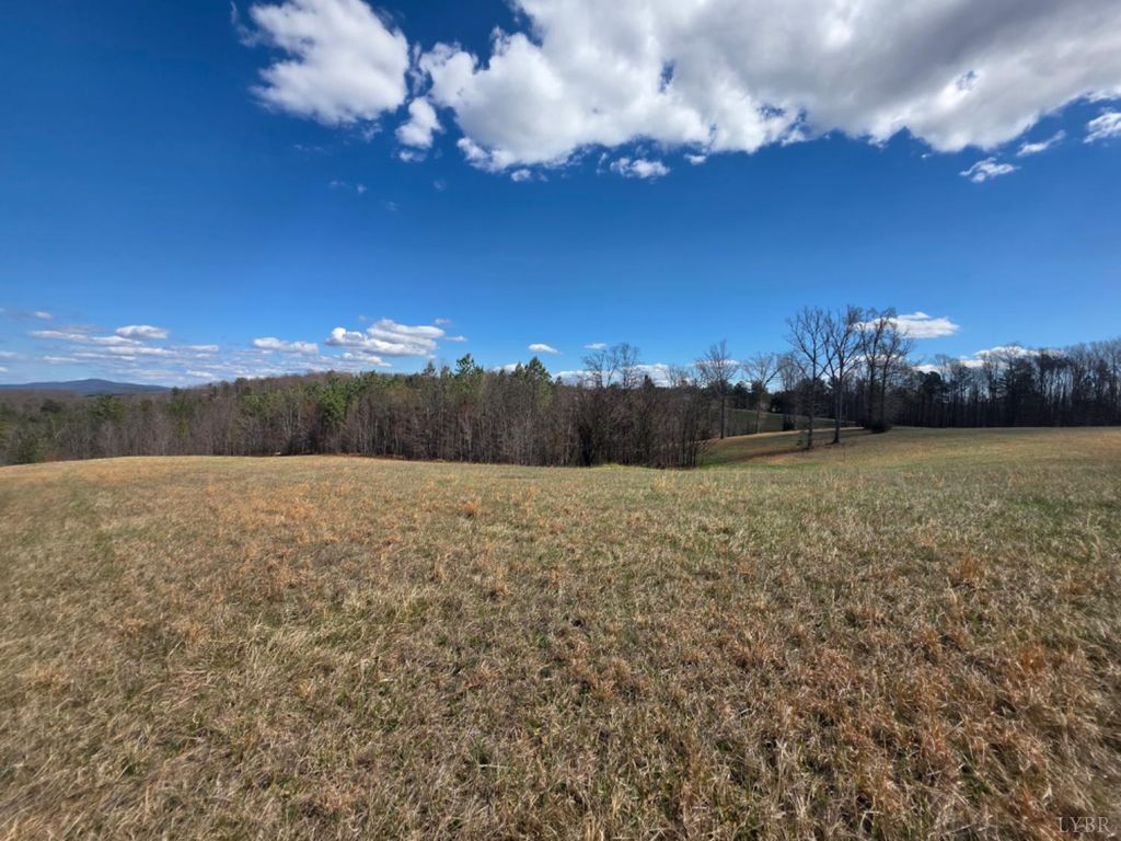 Image 19 of property listing at 0 Skyline Road, Appomattox, VA 24522