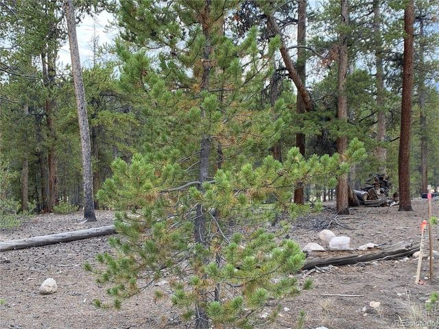 340 Peak View Dr, Twin Lakes, CO 80461