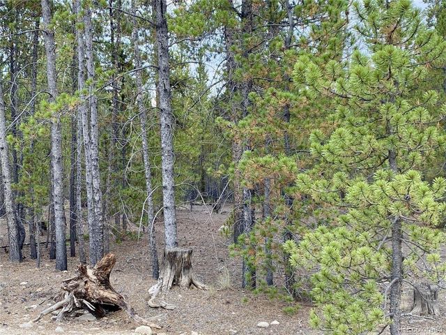 340 Peak View Dr, Twin Lakes, CO 80461