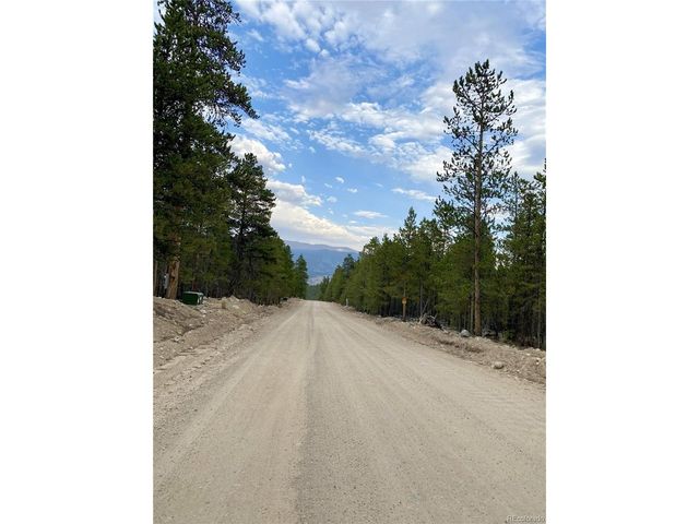340 Peak View Dr, Twin Lakes, CO 80461