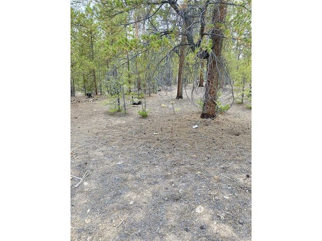 340 Peak View Dr, Twin Lakes, CO 80461