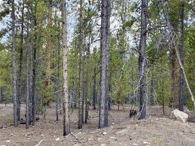 340 Peak View Dr, Twin Lakes, CO 80461