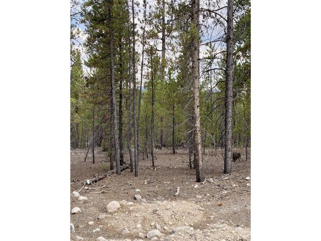 340 Peak View Dr, Twin Lakes, CO 80461