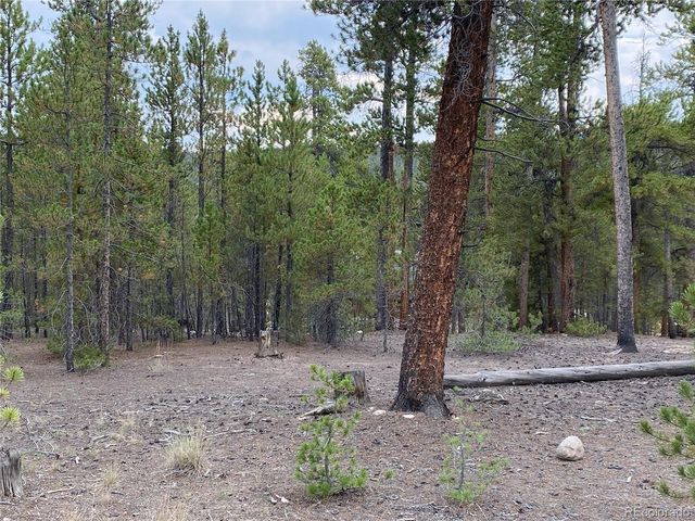 340 Peak View Dr, Twin Lakes, CO 80461