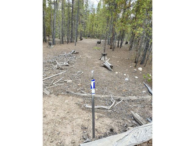 340 Peak View Dr, Twin Lakes, CO 80461