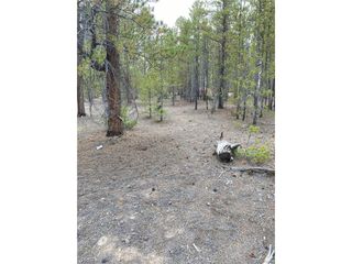 340 Peak View Dr, Twin Lakes, CO 80461