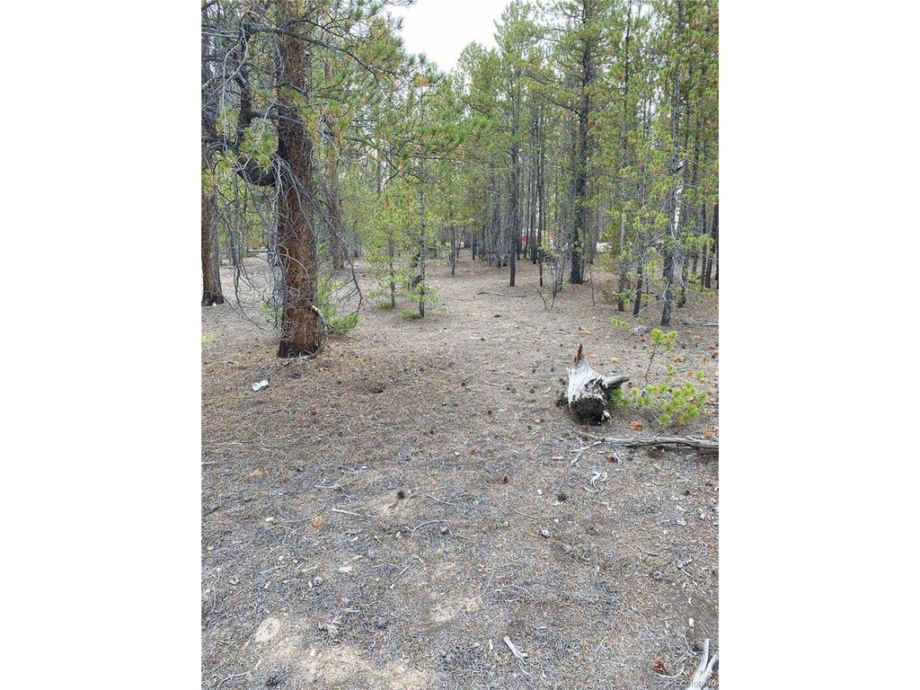 340 Peak View Dr, Twin Lakes, CO 80461
