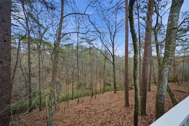 121 White Antelope Street, Waleska, GA 30183