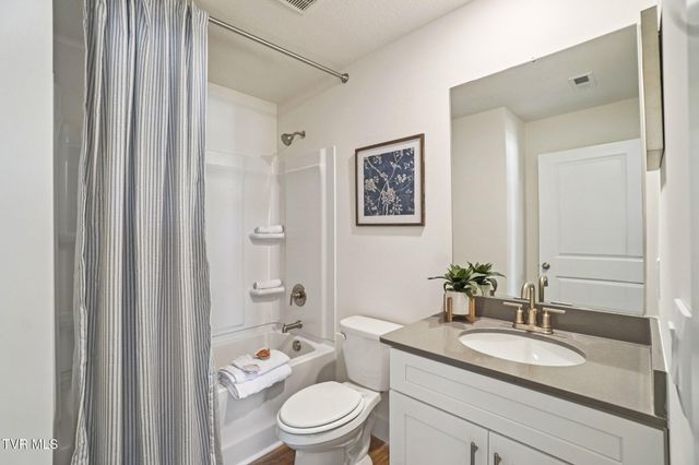 225 Artist Avenue, Johnson City, TN 37615