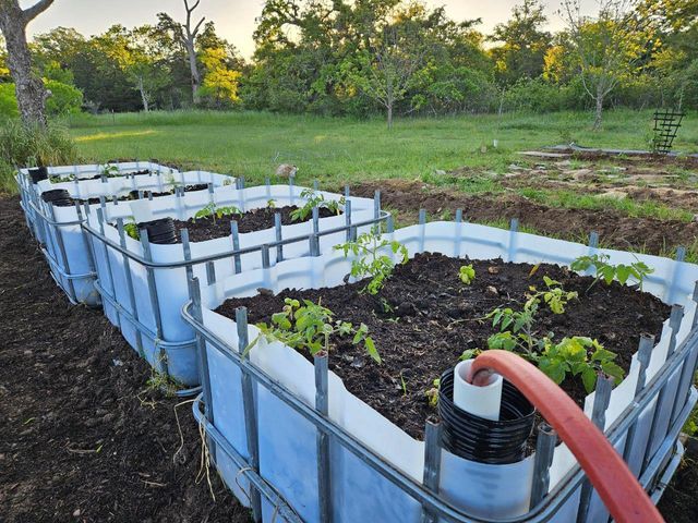 4668 Fm 535, Cedar Creek, TX 78612