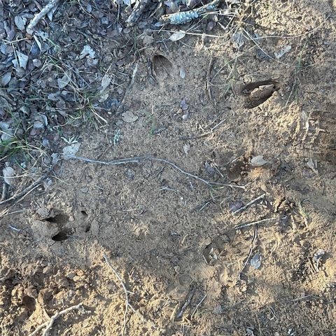 4668 Fm 535, Cedar Creek, TX 78612