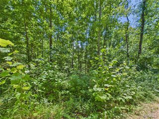 Lot 333 Crestwood Drive, Wappapello, MO 63966