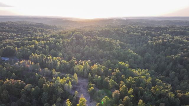 2 Lyle Hollow Rd, Palmyra, TN 37142