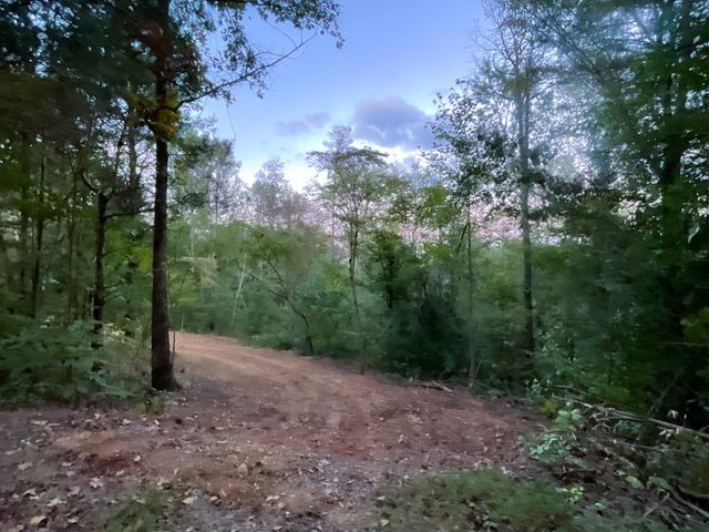 2 Lyle Hollow Rd, Palmyra, TN 37142