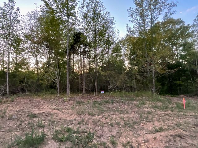 2 Lyle Hollow Rd, Palmyra, TN 37142