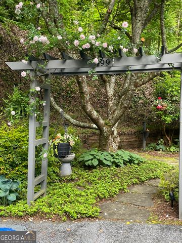 499 Ridgepole Drive, Sky Valley, GA 30537