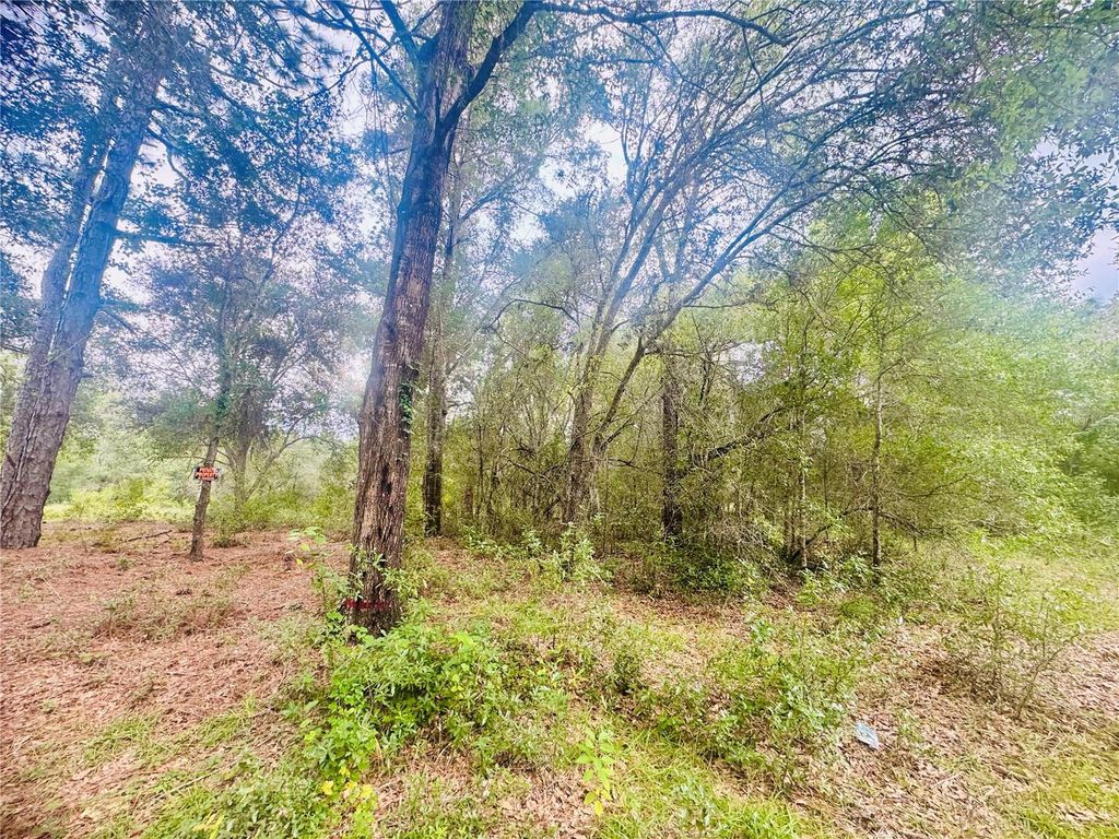 2203 ADAMS STREET, Inverness, FL 34453