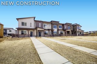 3554 Quincy Bay Place, Loveland, CO 80538