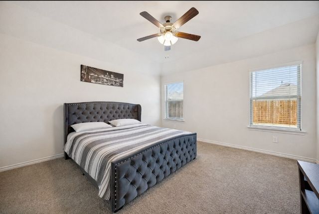 9729 Gooseneck Drive, Aubrey, TX 76227