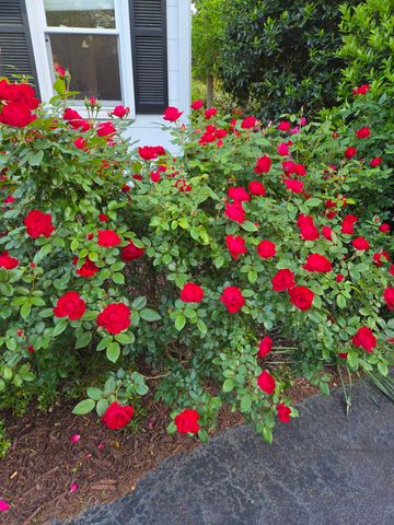 484 Powderhouse Road SE, Aiken, SC 29801