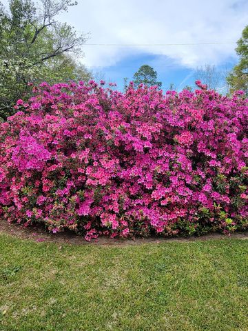 484 Powderhouse Road SE, Aiken, SC 29801