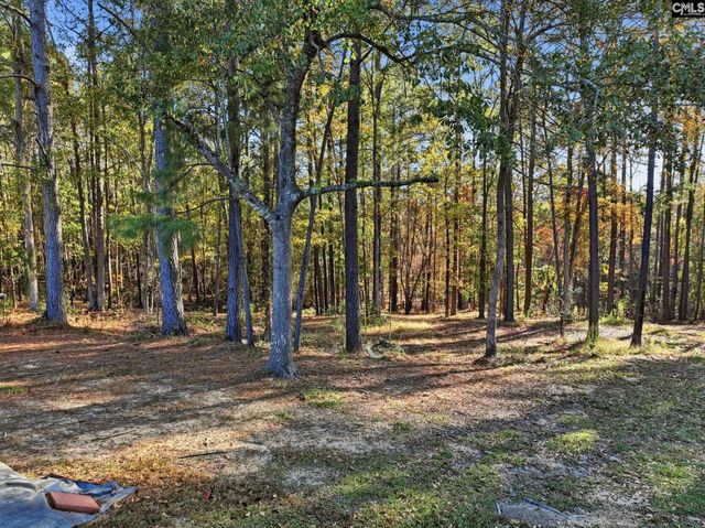 260 Darren Boozer Road, Prosperity, SC 29127