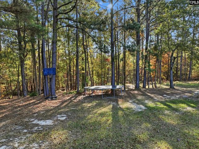 260 Darren Boozer Road, Prosperity, SC 29127