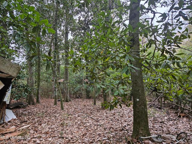 River Road, Biloxi, MS 39532