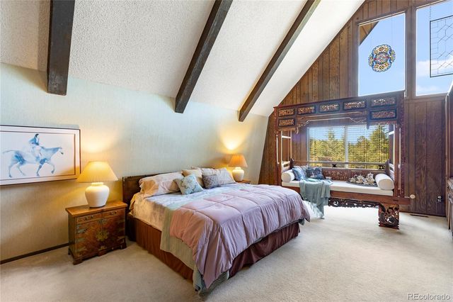 303 Ute Trail, Woodland Park, CO 80863