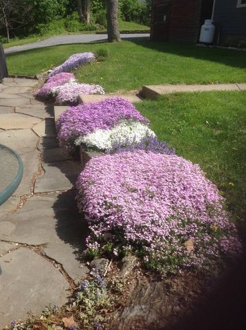 371 Weybridge Street, Middlebury, VT 05753