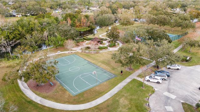 12404 STILLWATER TERRACE DRIVE, Tampa, FL 33618