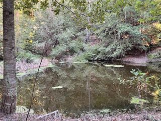 0 Love Creek, Ben Lomond, CA 95005