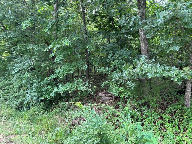 Walney Drive, Bella Vista, AR 72715