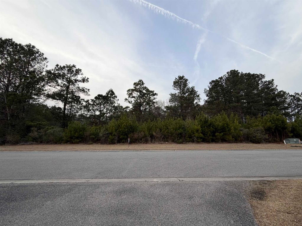 3040 New Castle Loop, Myrtle Beach, SC 29588 — photo 2