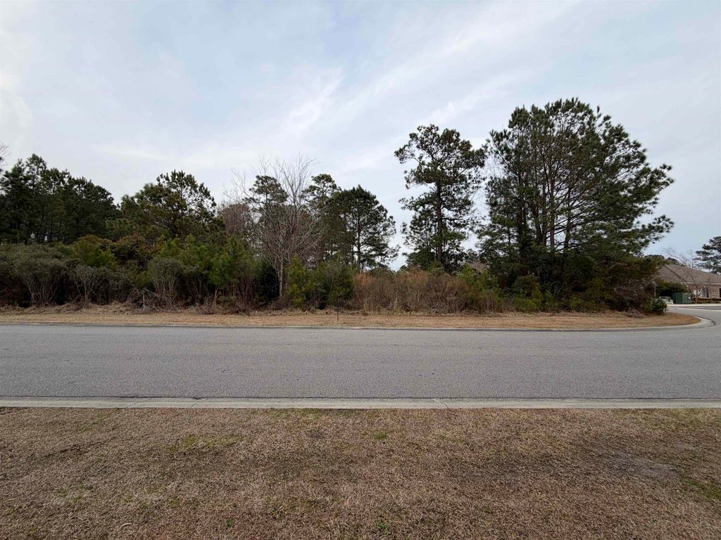 3040 New Castle Loop, Myrtle Beach, SC 29588 — photo 3