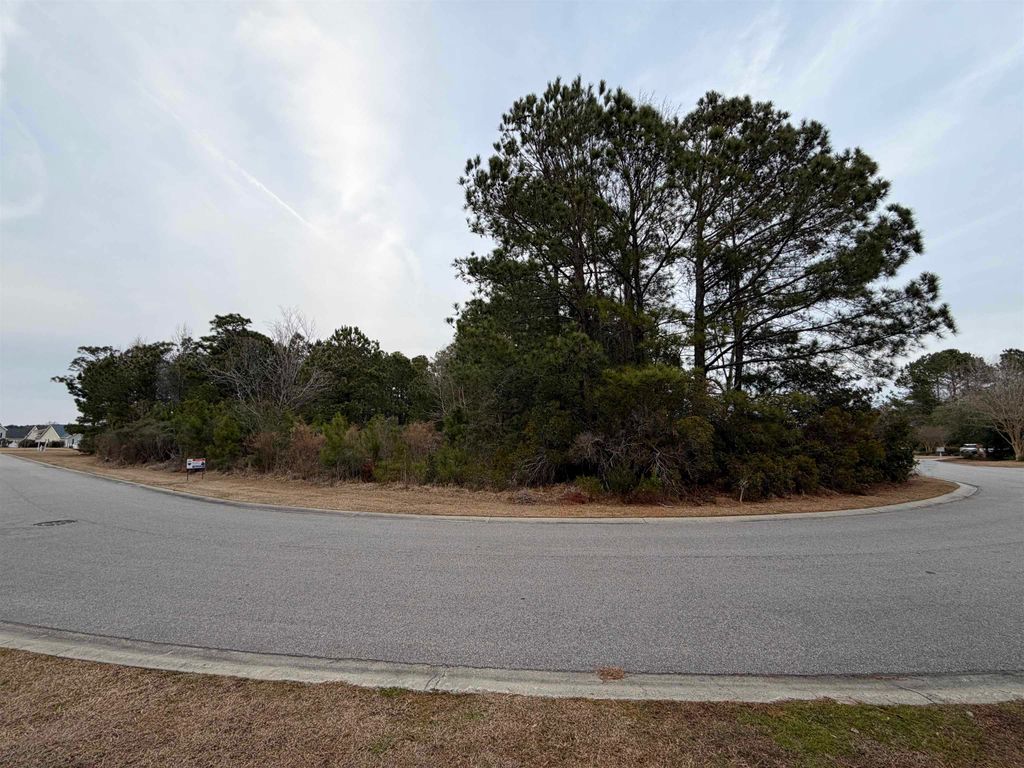 3040 New Castle Loop, Myrtle Beach, SC 29588 — photo 4