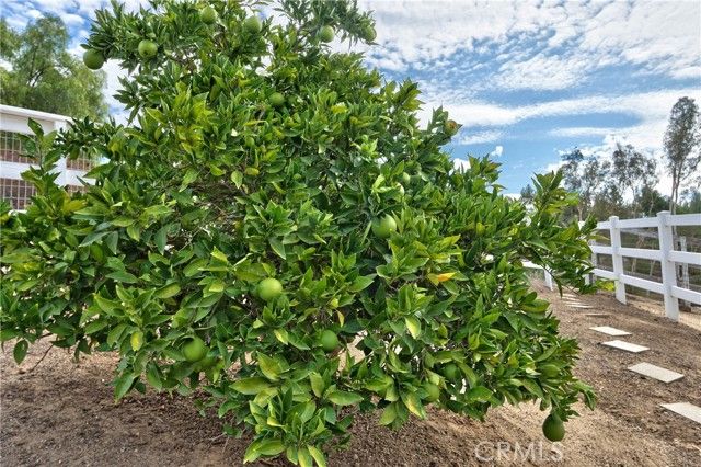 30041 Los Nogales, Temecula, CA 92591