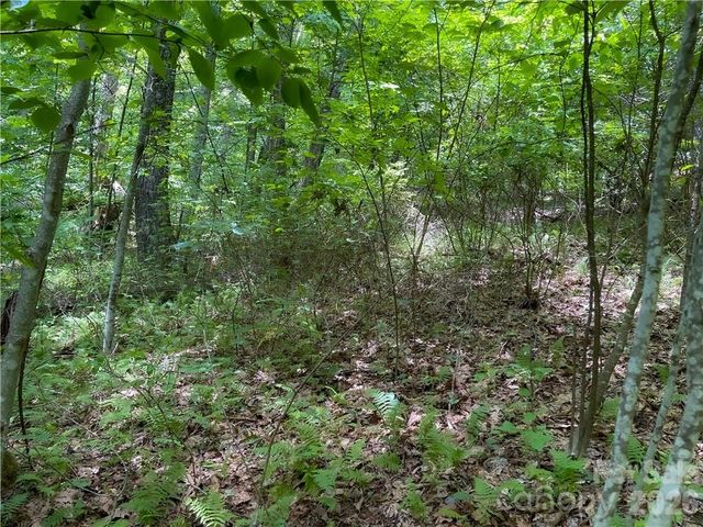L-36 Saint Moritz Lane Lot 36, Spruce Pine, NC 28749