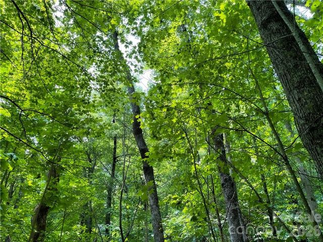 L-36 Saint Moritz Lane Lot 36, Spruce Pine, NC 28749