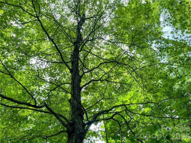 L-36 Saint Moritz Lane Lot 36, Spruce Pine, NC 28749