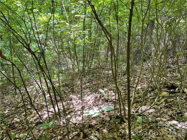 L-36 Saint Moritz Lane Lot 36, Spruce Pine, NC 28749